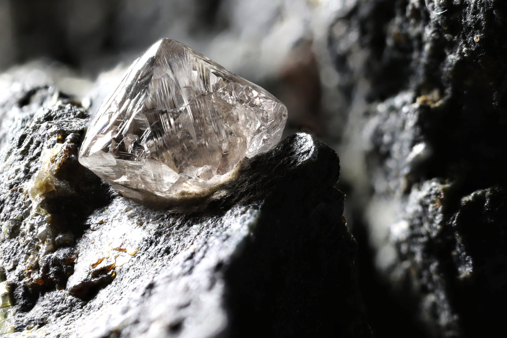 Le diamant, l'indomptable