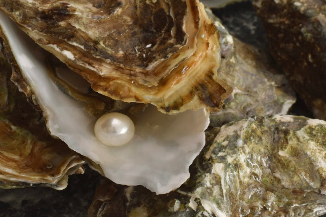 L’histoire des perles : trésors de la mer et symboles intemporels