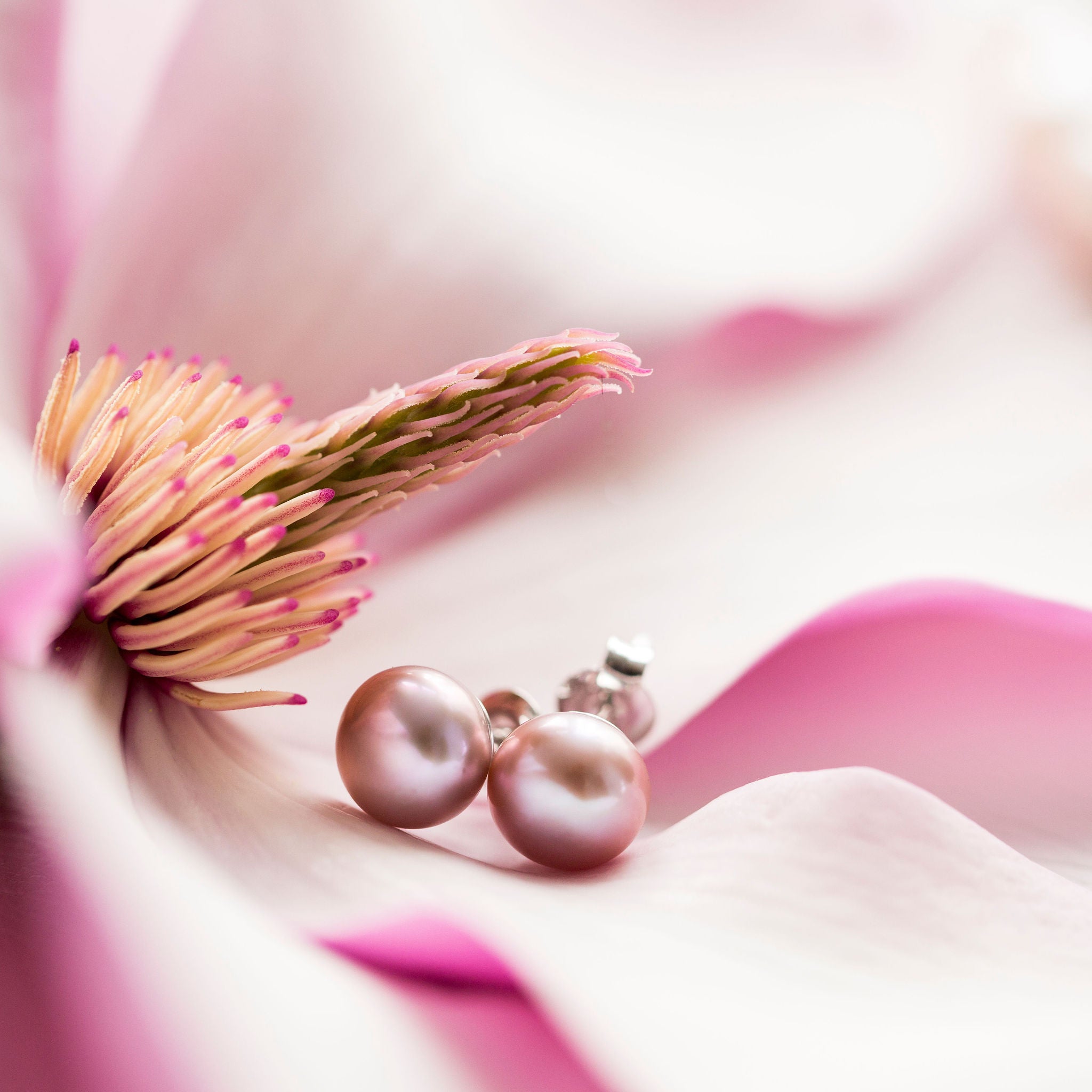 Pink Freshwater Pearl Earrings