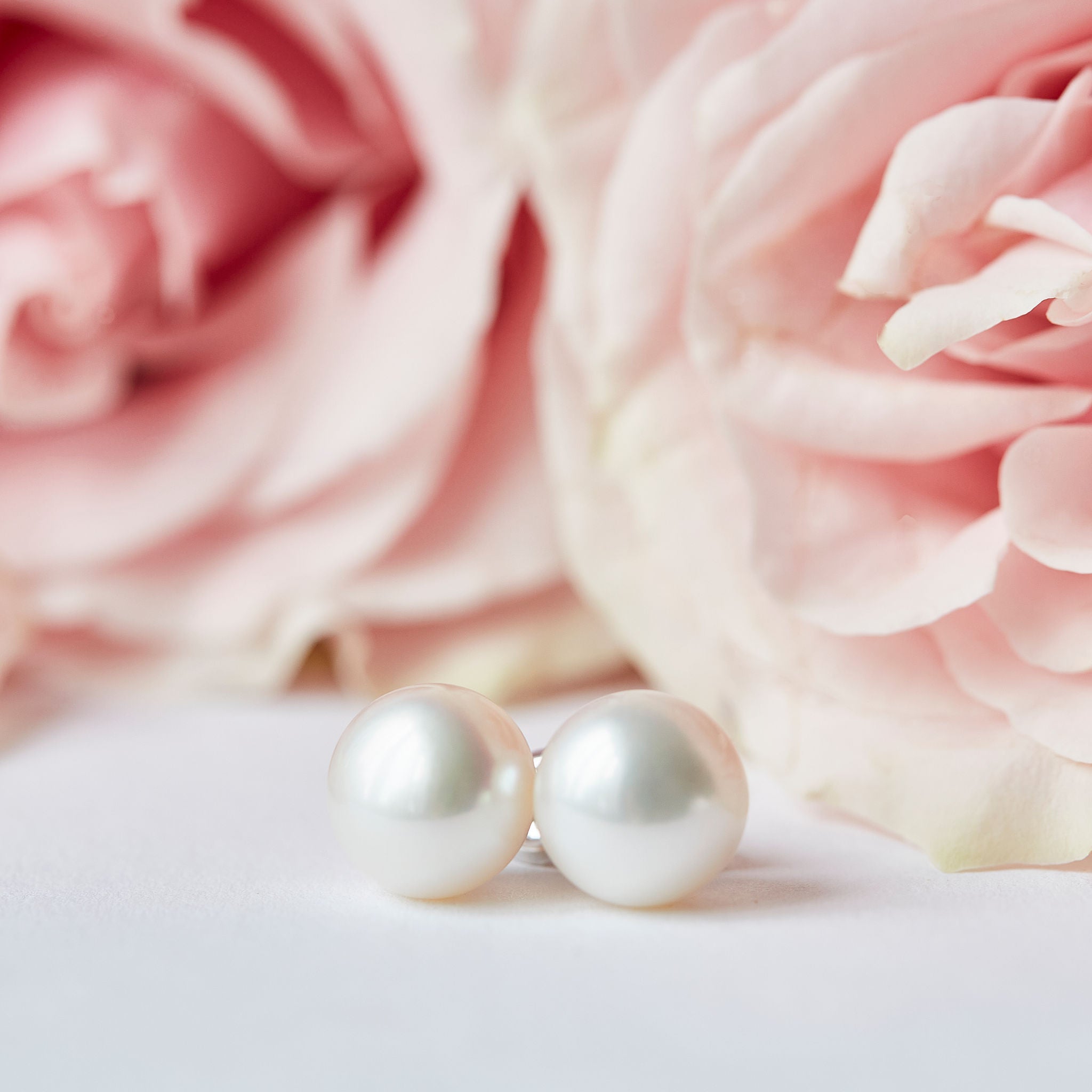 White Freshwater Pearl Earrings