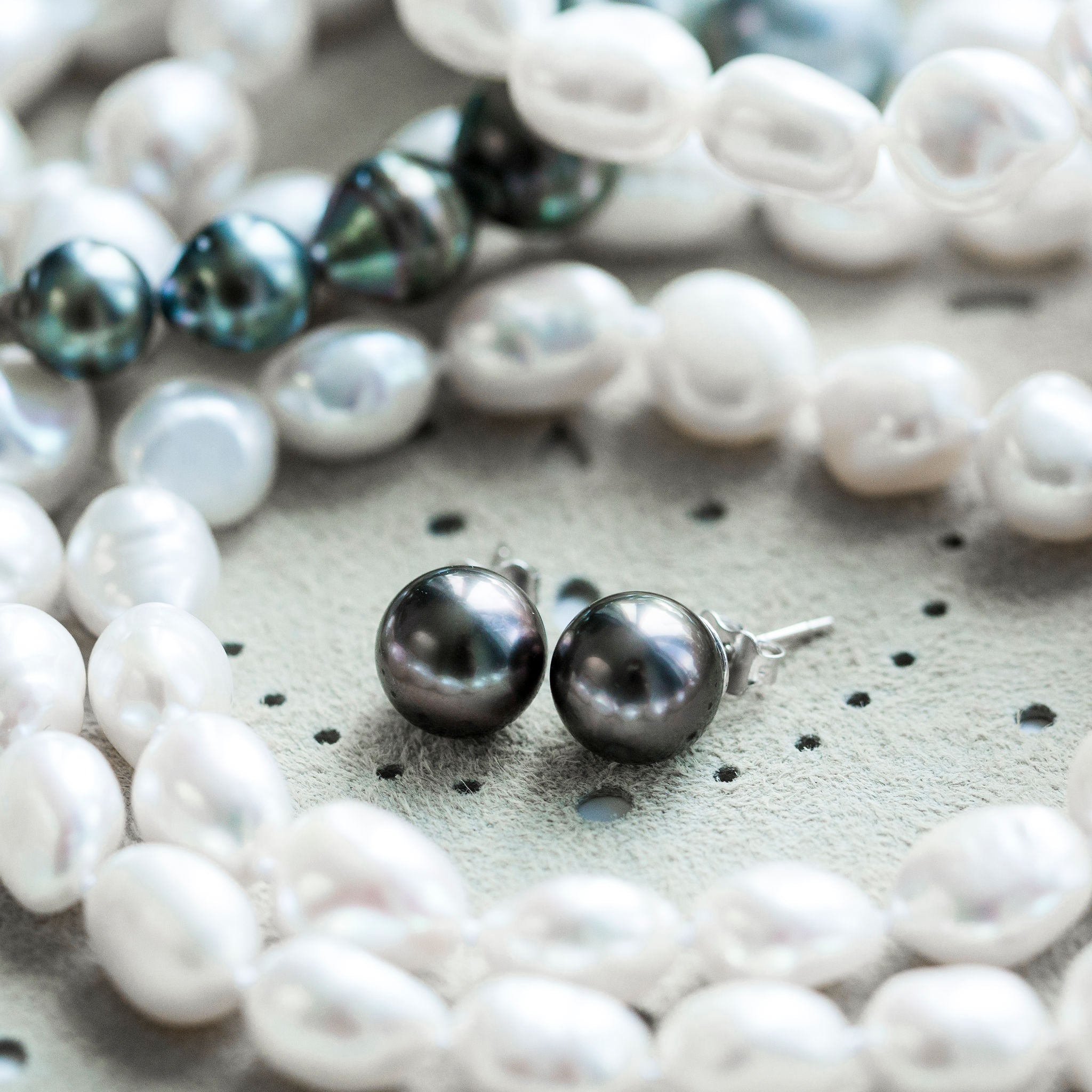 Tahitian Pearl Earrings