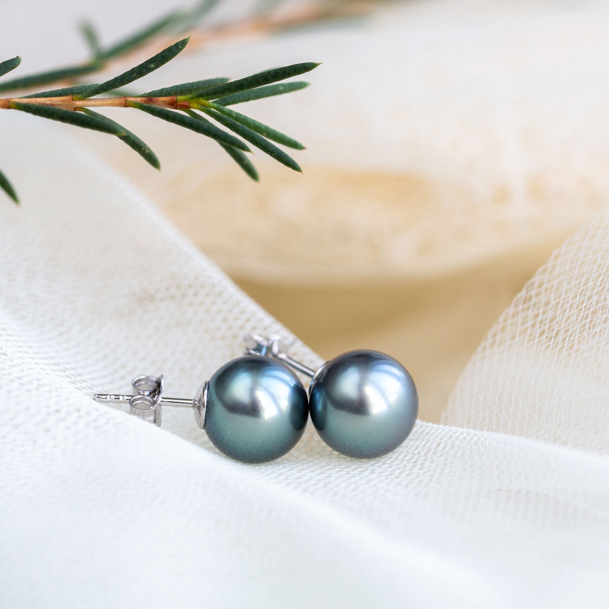 Tahitian pearl earrings